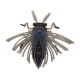 Bait Breath No Look Bug 1,6' (4 cm)
